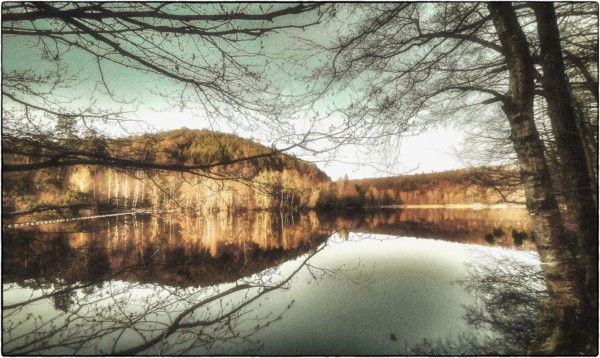 Herbstliche Pfalz: Gelterswoog