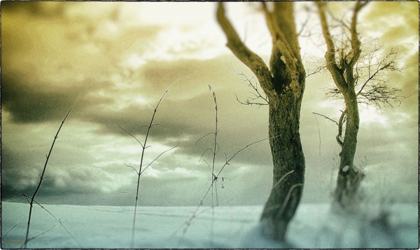 Winterlandschaft